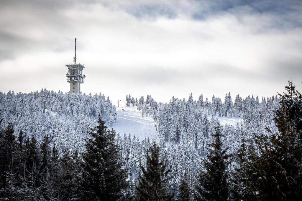 Meadows Klinovec Apartment Loucna pod Klinovcem